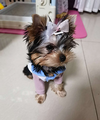 Լ���ı����Ҽҳ�