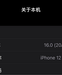 iphone12pm256g����