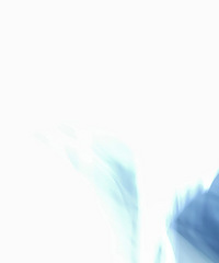 ��һ̨ƻ���ʼǱ�