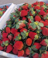 ����ɽ��ݮ