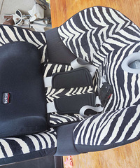 ������˫����ʿ��ȫ����