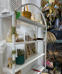 ���̲����ˣ����Ӱ��չʾ̨��ϵ��~