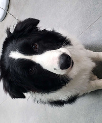 ������Ѱ��Ե��