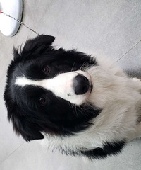 ������Ѱ��Ե��