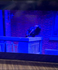 ����43����������Һ�����ӻ�