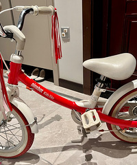 ninebot�ź�Ů��14���ɫ���г��������ϵĵ������ȡ��