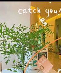 �ͼ�ת���٤�ο���