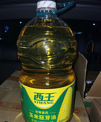 ����������ѿ��   ³��5Sѹեһ��������