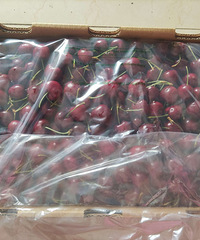 ɽķ������