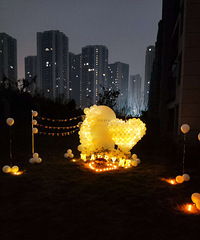 �������Ų���