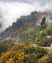 �ǿ���ɽ������