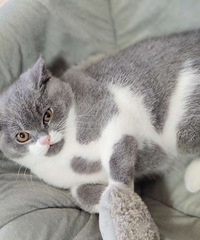 3�������׵ܵ�Ѱ������