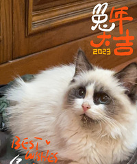 �ͼ۳��۲�żè��