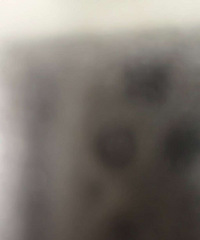 ת�����������Ʊ