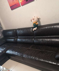 ��ת��Ƥɳ��