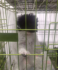 ����2���£�������ԭ���������͸�������