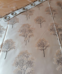 ��תȫ�����������Ứ����֯������1�ţ�������