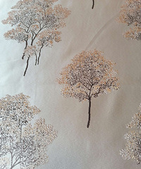 ��תȫ�����������Ứ����֯������1�ţ�������