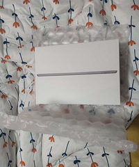 ipad9�� 256