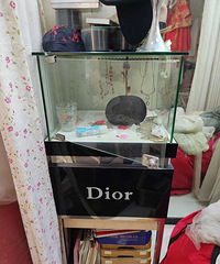 �ϰ�չʾ��һ����50Ԫ