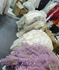 ��̭�Ļ�ɴһ�������������ʮ�����