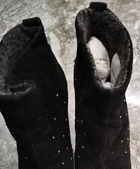 ������ѥ