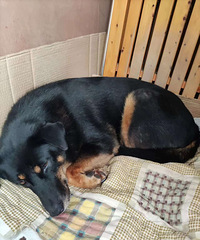 ����Ѱ��Ե�˸���