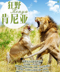 ��ٿ����Ƕ����Ǩ��������ת��