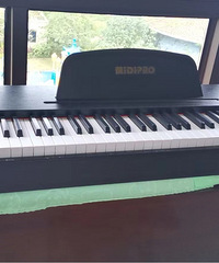 ��99��midipro�ش��������