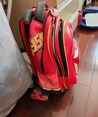 ��ʿ�������������Сѧ��3-5�꼶��Ʒ����������