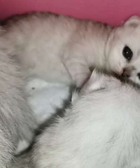 ��������������