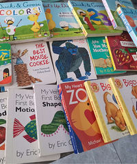 ��������Ӣ�����ɻ汾