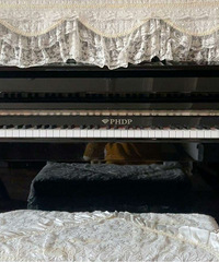 �������ٱ��˳���