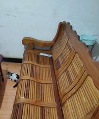 ʵľɳ����8����