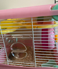 ����Ͳ���