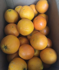 �����˼���������