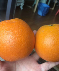 �����˼���������