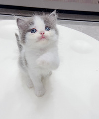 ������ë����������