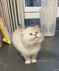 ��ë���ܵ��������Ҽҳ�