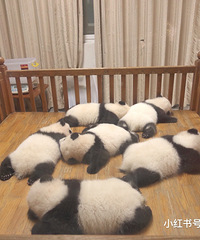 520������������������ֻ�