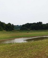 ��Դ5��27�ݳ�����Ʊ