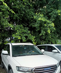 ����h6coupe4����