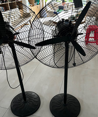 ���������������ȩ�����ŵ�