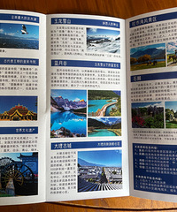 ת����������