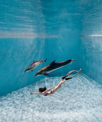 ת��Ӻ���16�ڶ�ͯ��Ӿ��