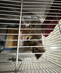 �������������������ã�