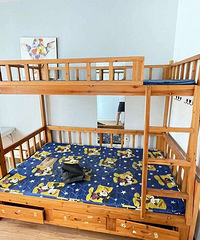 �����õ�����ʵľ��