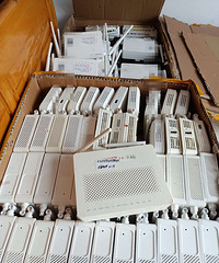 ��������ǧ�׹�è�������������ר��