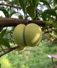 ������ �Լ��ֵķ����� �� ��