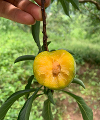 ������ �Լ��ֵķ����� �� ��